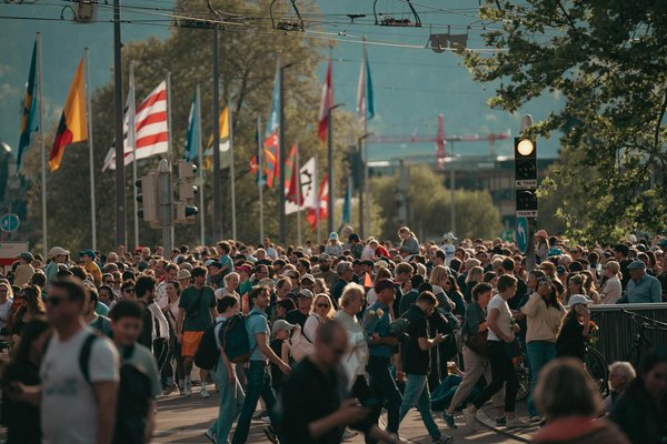 Explorez le monde fascinant de la menuiserie avec notre blog