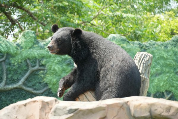 Quelles innovations façonnent l'avenir de la médecine ?